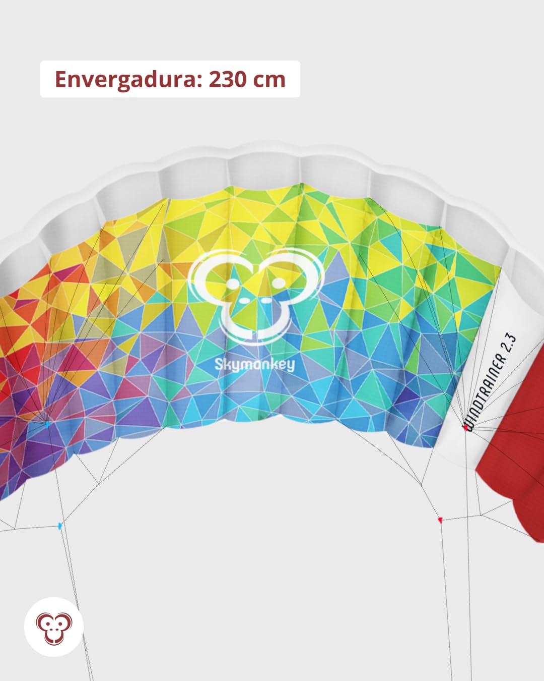 Skymonkey Windtrainer 3.3 Parafoil 4-Cordones Cometa acrobática Ready 2 Fly - Envergadura: 330 cm