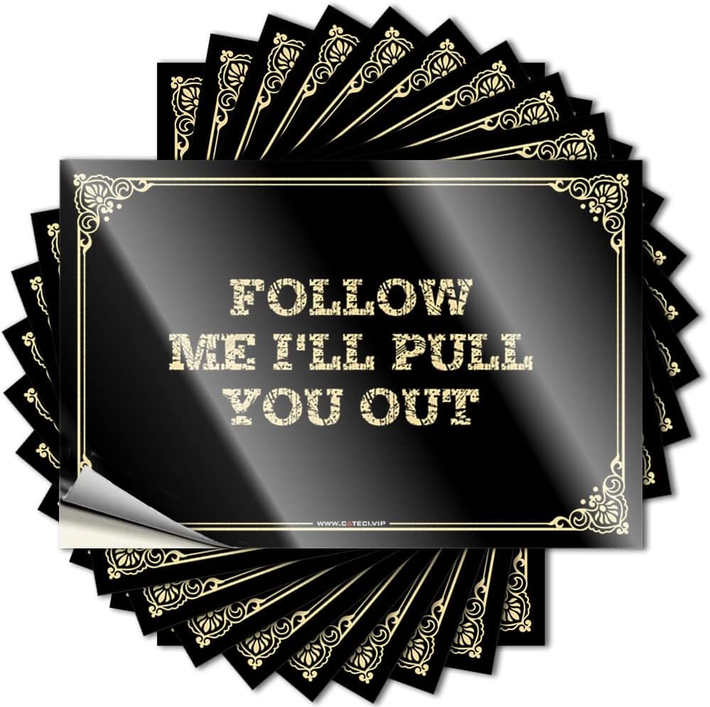 Car Accessories Follow Me I'll Pull You Out Stickers Toolbox Stickers and Decals Stickers Funny(6X9CM)