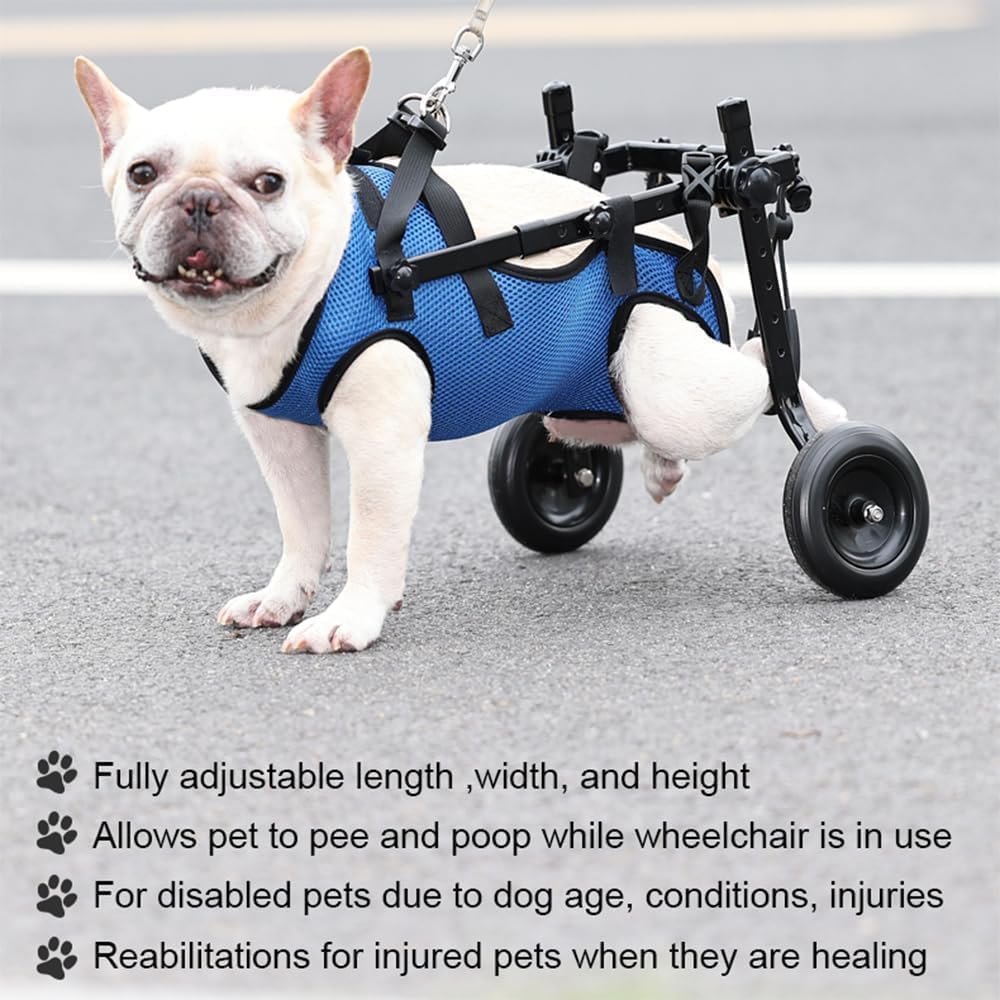 Fauteuil roulant pour chien handicapé, aide pour chien handicapé, poussette légère et réglable, convient aux chiens de petite et moyenne taille (dernier modèle) (bleu-S)