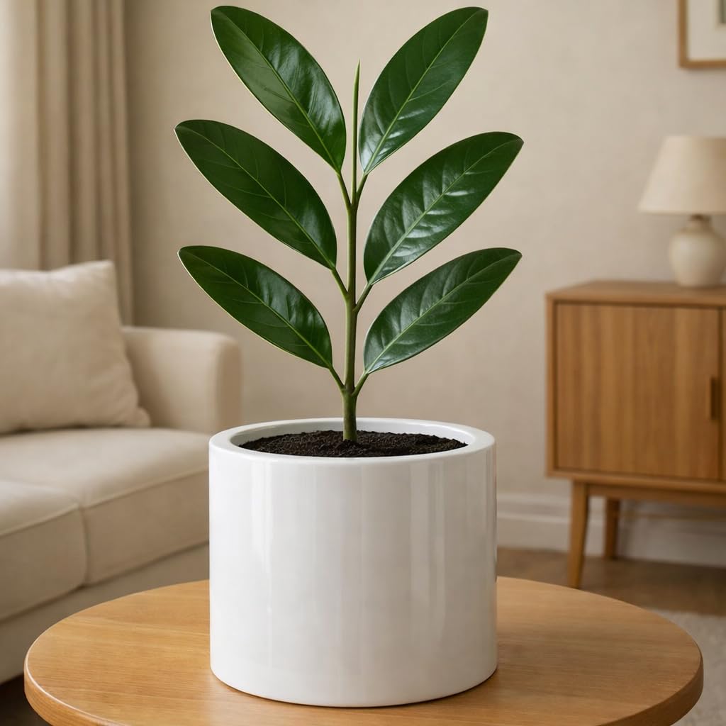 Amazon.com : Fox & Fern Large Indoor Planter, Modern Large Plant