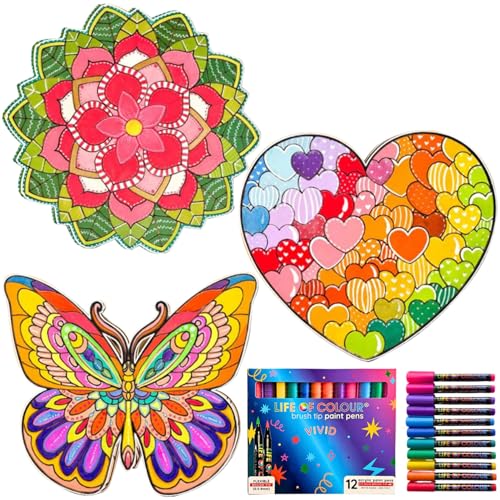 Life of Colour Painting Kit - Color Your Own Set of 3 Shaped Boards with 12 Life of Color Acrylic Paint Pens No Mess DIY Art and Crafts for Adults - Stunning Works of Art for Decorative Display