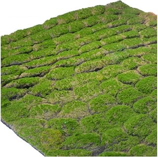 Synthetic Grass Mat False Moss Simulation Moss Plant Mat Astro Turf for Wedding Home Backyard Balcony ASDFGHT (Color : D, Size : 1X1M)