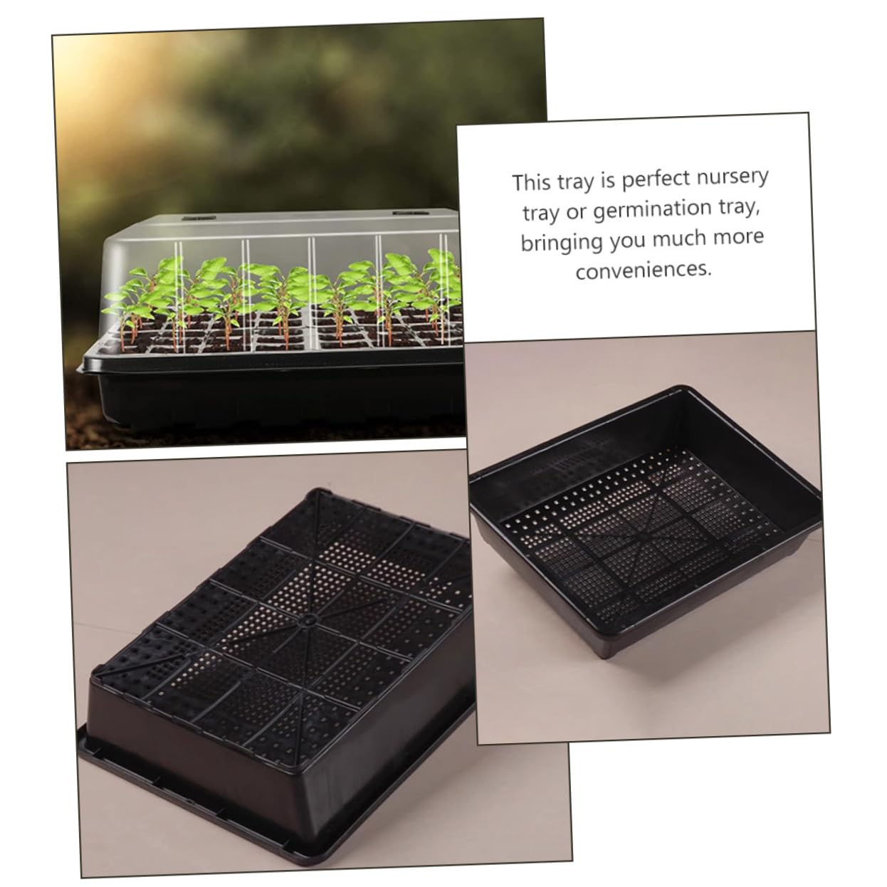 1 Ensemble Plateau de Semis Plastique Réutilisable pour Germination de Plateaux de Démarrage de Plantes pour et Légumes