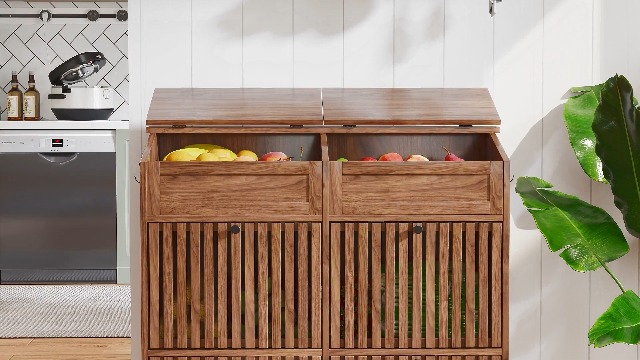 Amazon.com: Potato and Onion Storage Bins Box, Mid Century Modern