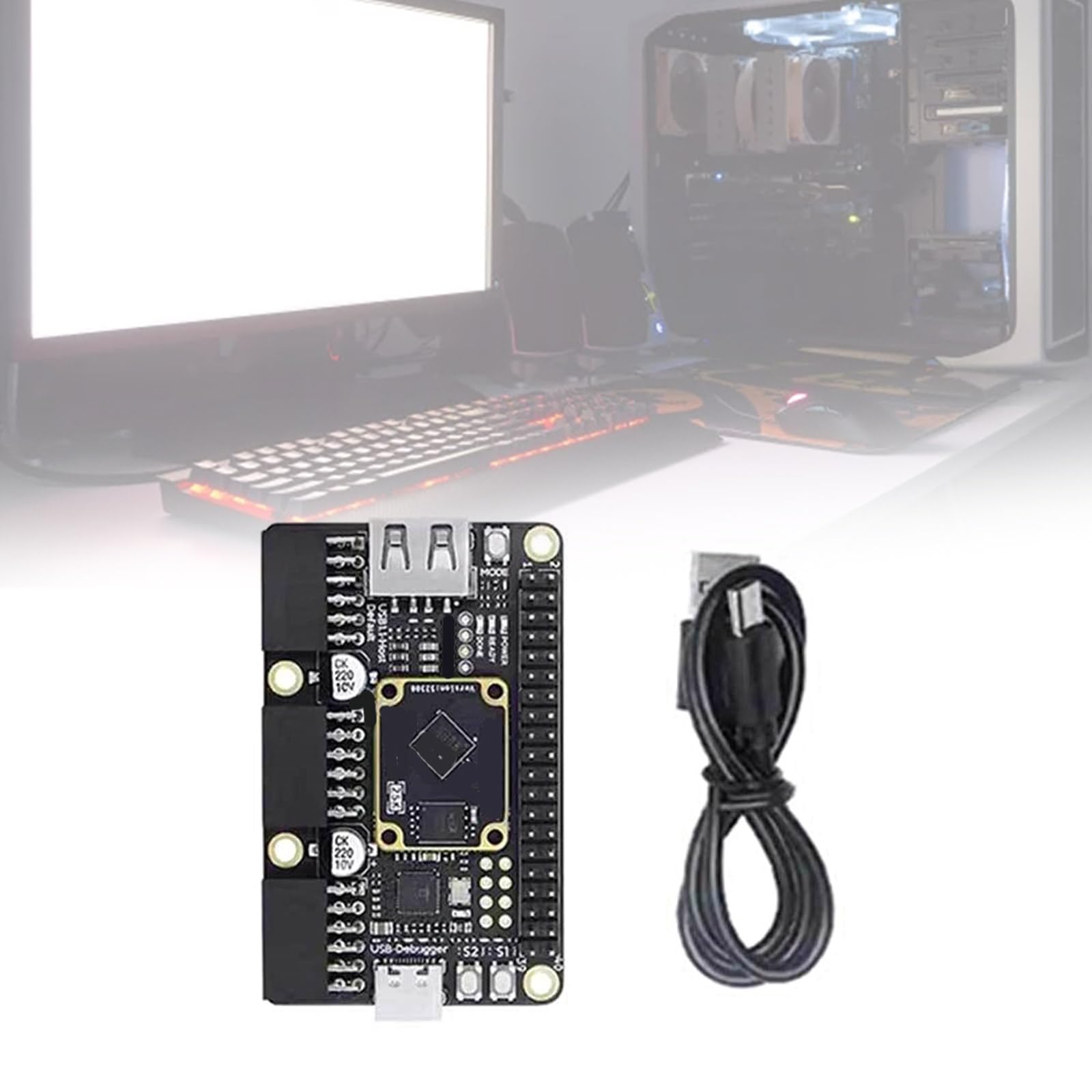 Carte de développement 25K RISCV FPGA PMOD SDRAM GW5A-LV25MG121 Développement 64 Mbit SPI clignotant Maison unique