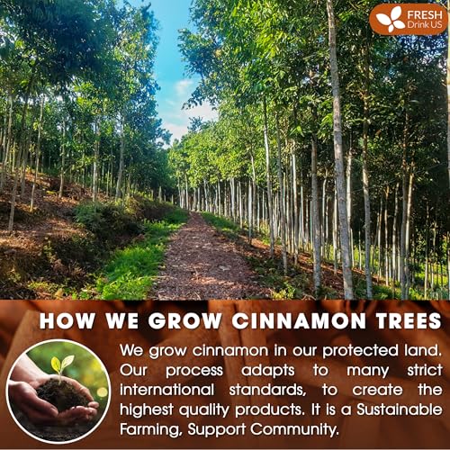 Image of FreshDrinkUS, Premium 30+ Cinnamon Dried Sticks, Whole Sticks, 100% Natural & Pure Cinnamon Inner Bark, Raw Spice Flavor & Strong Aroma, Herbal Tea, Perfect for Warm Beverages