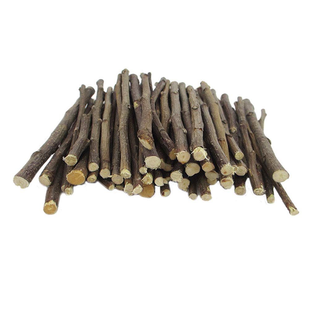 Bâtonnets de bois de pommier bio Oncpcare 800g pour lapin et rongeur
