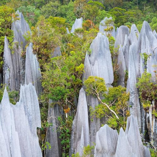 S2 E38: Before the Flood: How Fossils Built the Great Barrier Reef (and the Pyramids!)