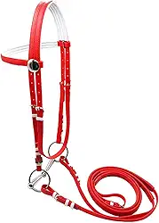 Rédea para cavalo com rédea, acessórios para montaria com arreios, coleira para cabeçada, correia para equitação para clube, curso de adestramento