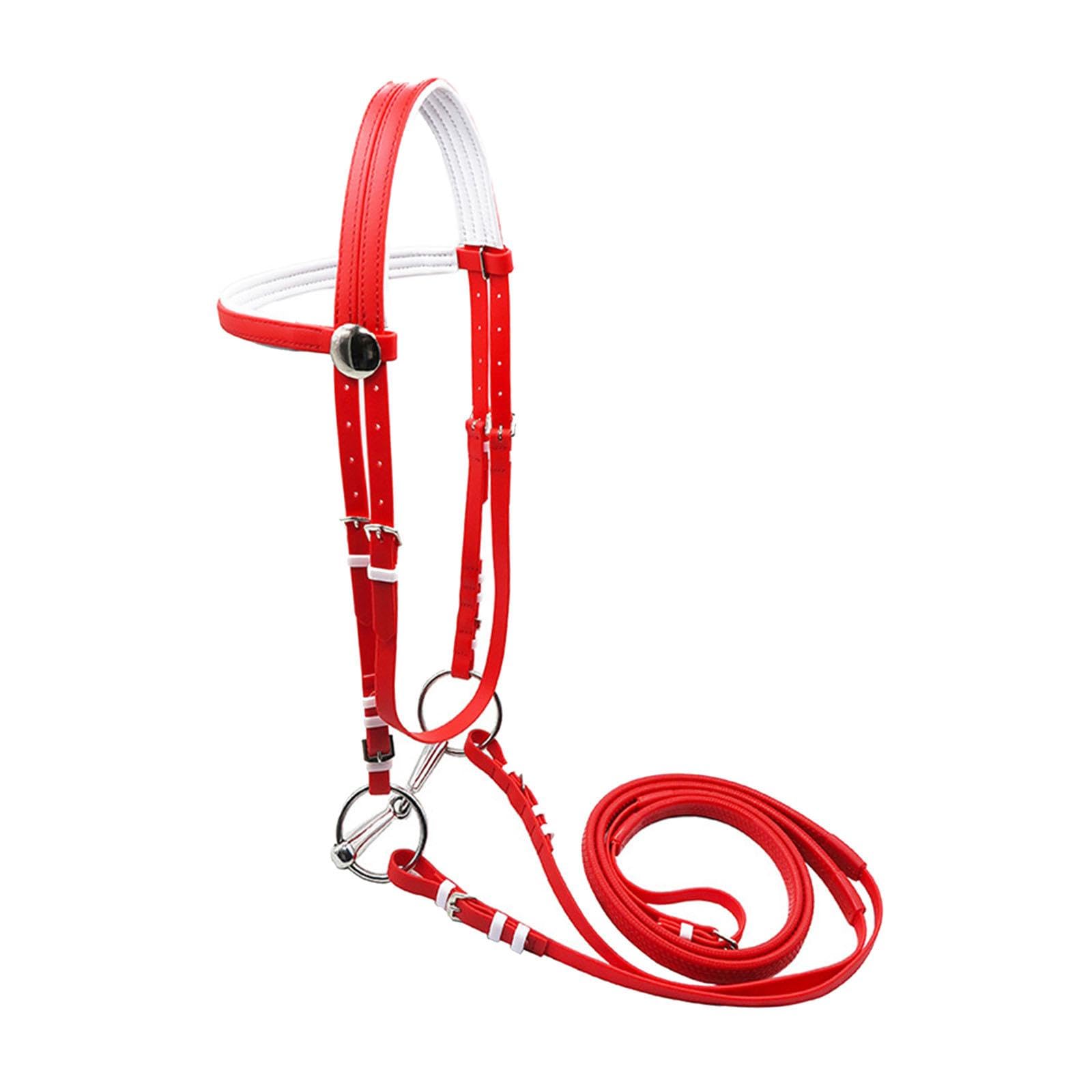 Fenteer Brida para Caballo con Correa para La, Equipo Ecuestre, Cómoda Y Versátil, Cabezada, Cuerda para Montar para Entrenamiento de Lecciones