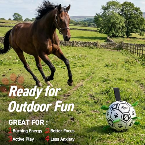 Image of QDAN 10 Inch Gaint Dog Soccer Ball with Straps, Durable Large Dogs Balls | Outdoor Big Dog Toys, Herding Balls for Large Dogs, Puppy Toy for >100 lbs Dogs, Interactive Training Soccer, Pool Water Toy