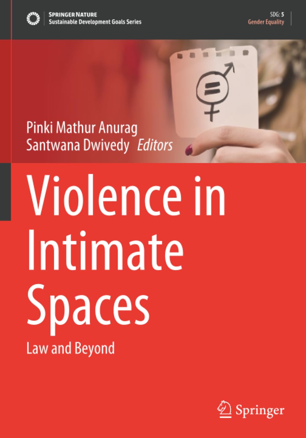 Violence in Intimate Spaces: Law and Beyond (Sustainable Development Goals Series)