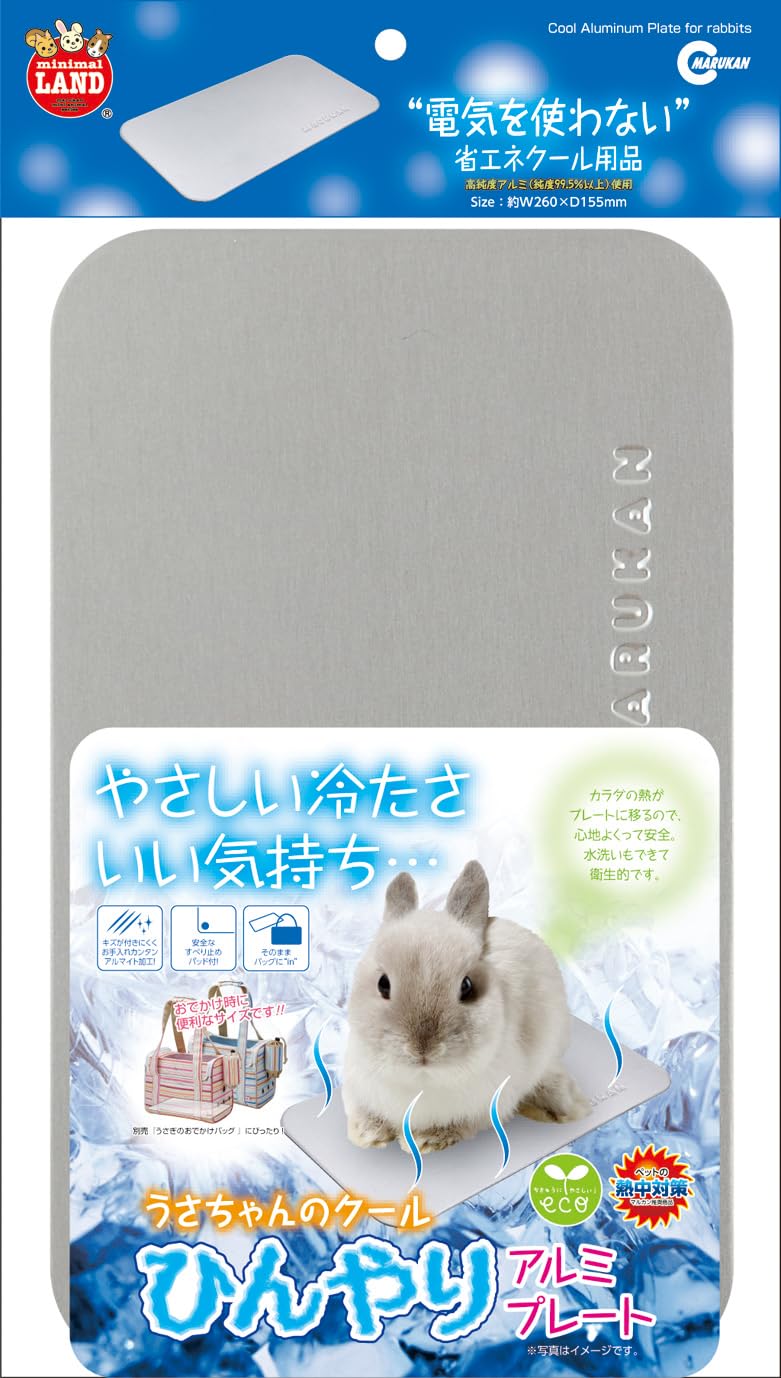 【美品】Gien ジアン　ランブイエ　GARANTI 兎　ウサギ　プレート Amazon.co.jp: JAnjiaLxY うさぎの置物 ウサギ ラビット 兎