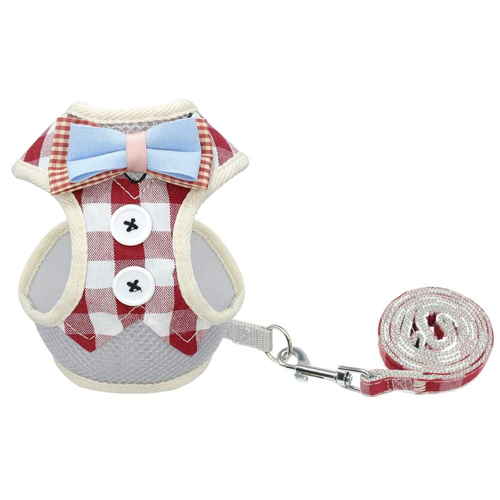 SOCHII Süßes Katzengeschirr und Leine, Set aus Nylon-Netzgewebe, Haustierzubehör, Leine, Katzenhalsband, Kleidung, Weste für kleine Katzen, Hunde, Kätzchen, Haustierbedarf, Größe 3 S