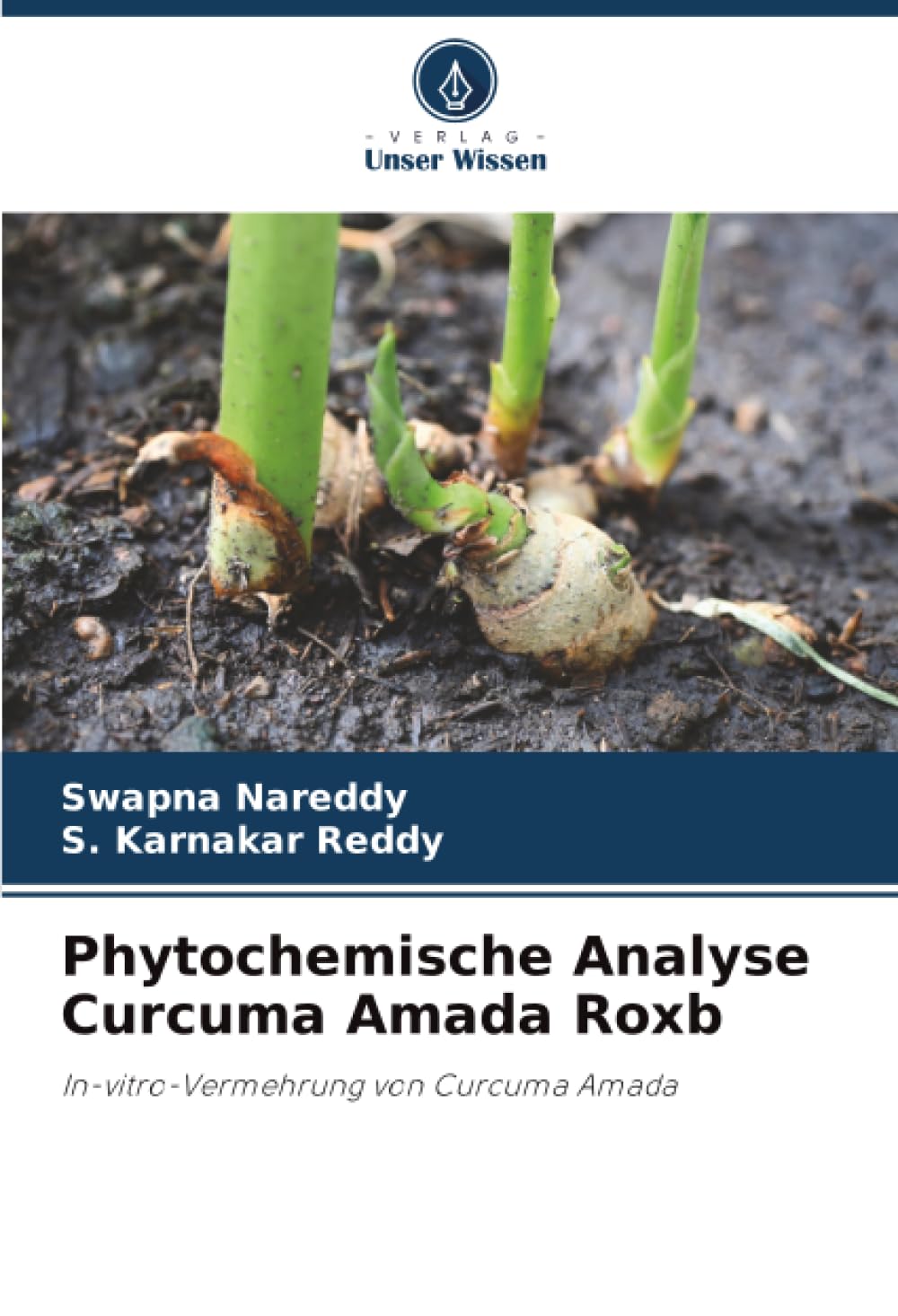 Phytochemische Analyse Curcuma Amada Roxb: In-vitro-Vermehrung von Curcuma Amada