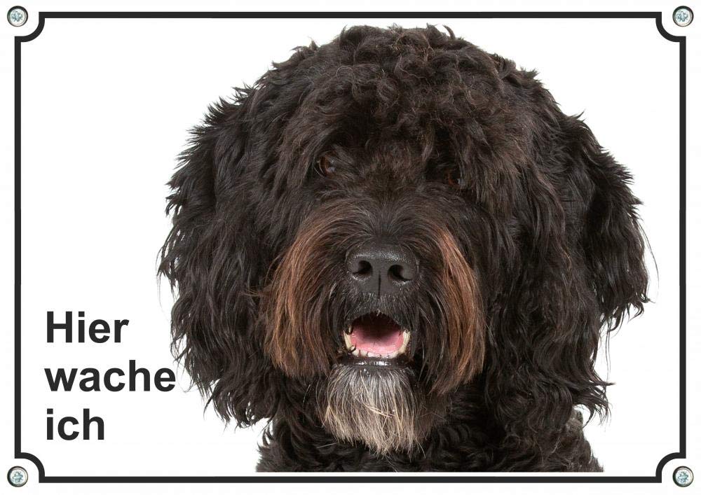 Hundeschild mit Barbet Wasserhund - uv-beständiges Metallschild Hier WACHE ICH, DIN A3