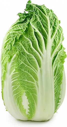 Col China-MichihiliCol Napa (500 semillas)