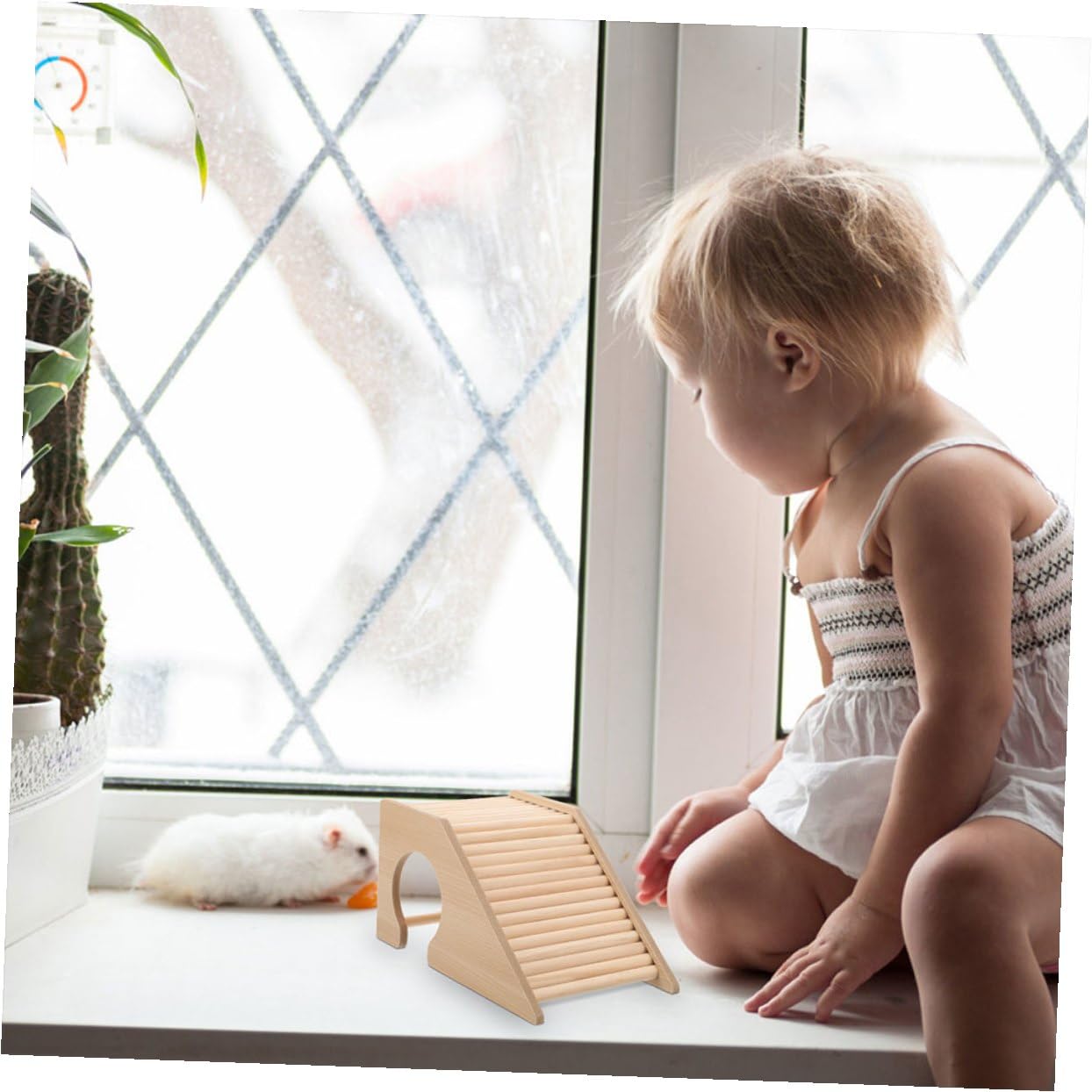 Hamster Kletterbrücke Leiter, 2 Stück-Pack für Kleintiere | Mäuseleiterbrücke für Käfig und Habitat, Multifunktionales Design, Pflegeleicht