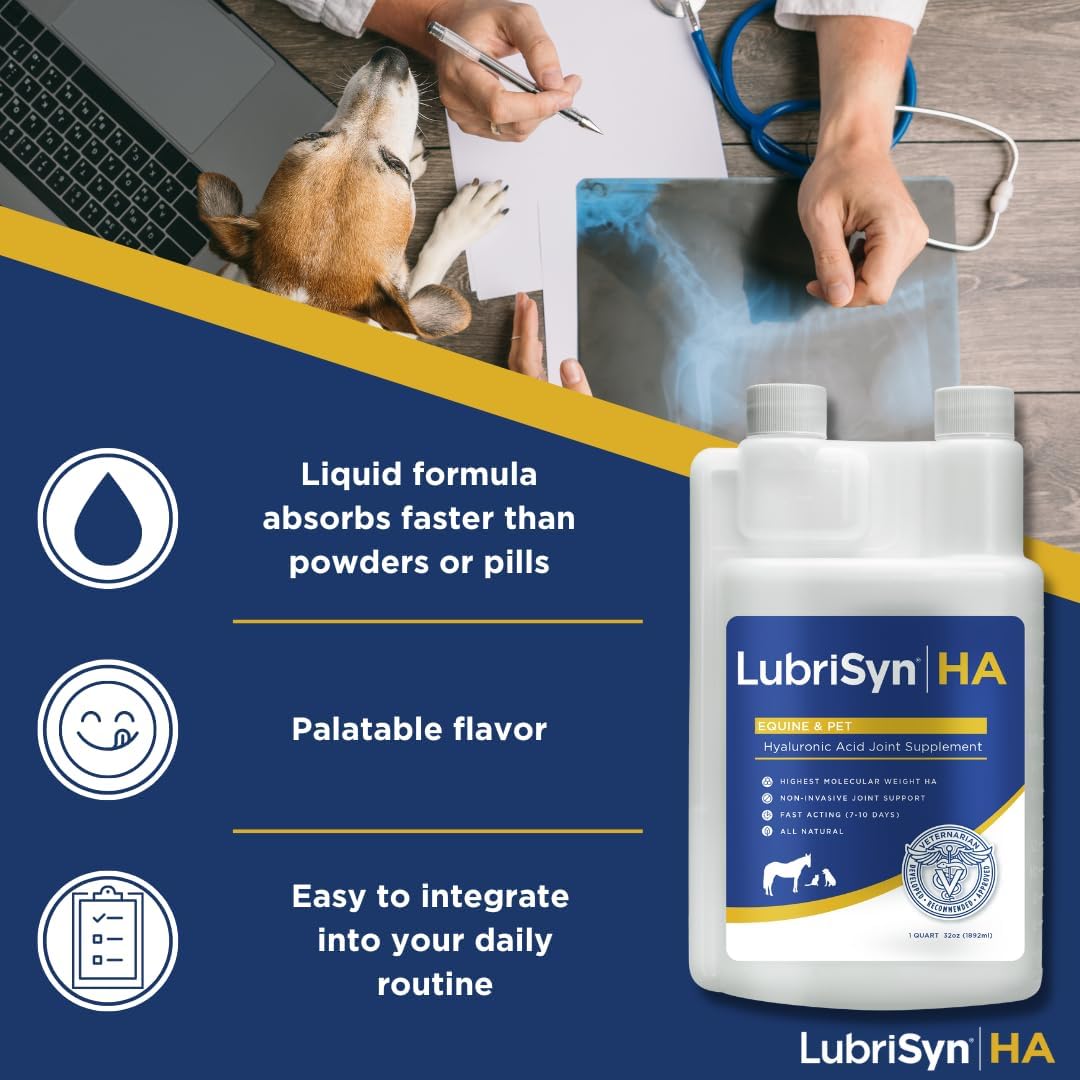 LubriSyn Joint Supplement for Canine & Equine, 32-Ounce by Lubrisyn