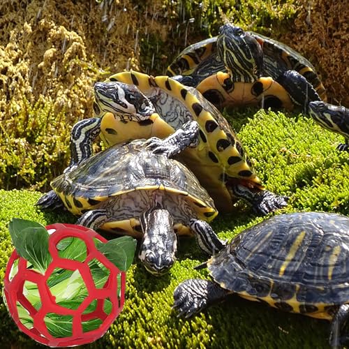 2 Stück Schildkröte Leckerli-Ball Spielzeug - Hängende Kleine Tiere Gemüse Gras Obst Fütterung und Spiel Heu Feeder Ball für Kleintiere Haustier (Grün und Rot)