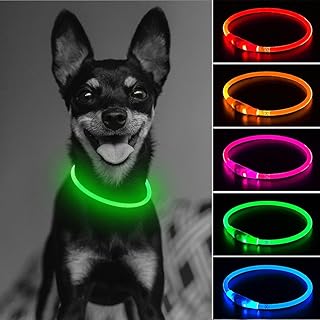 amazon dog lights