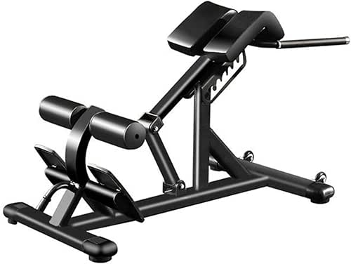 Roman Chair Multi Function Back Extension Machine, Adjustable Workout Bench