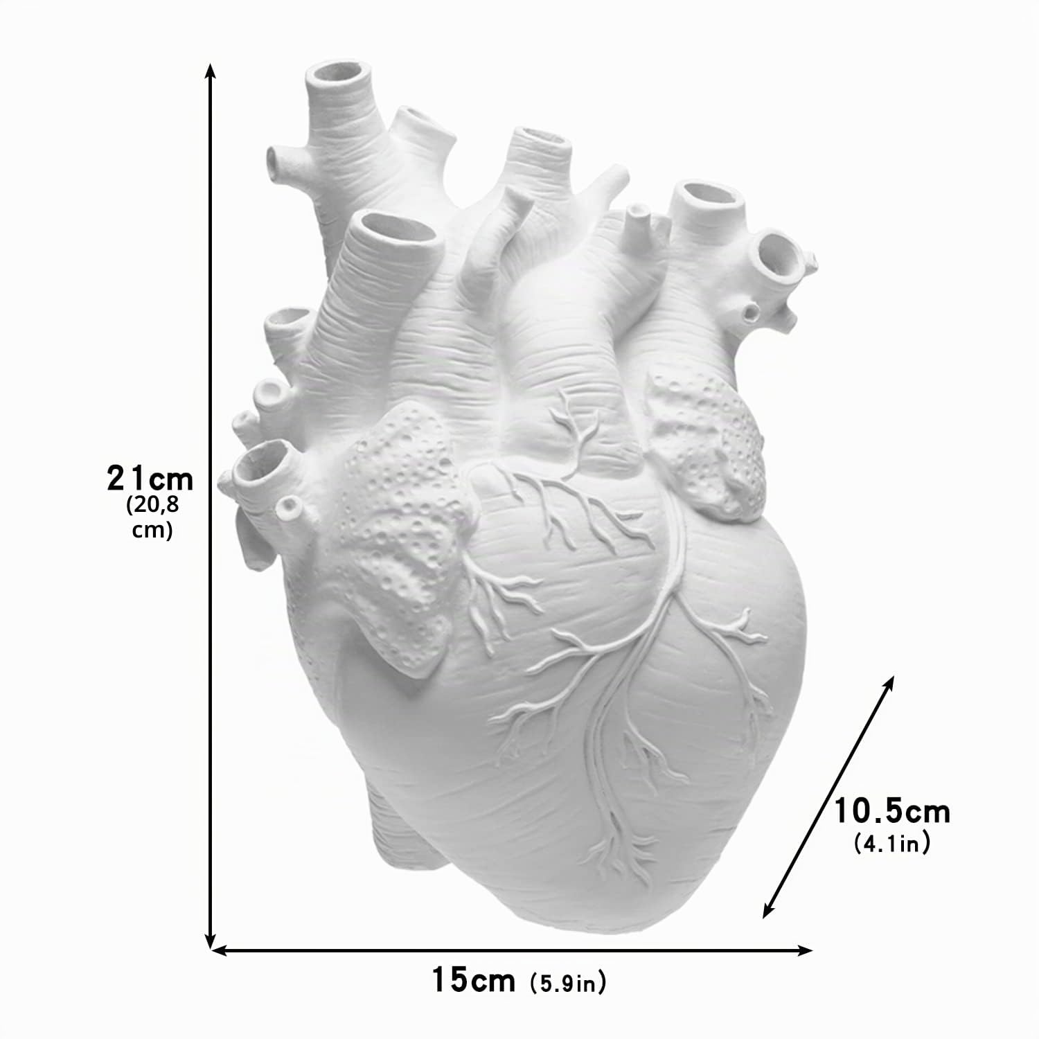Vaso anatomico a forma di cuore in resina bianca per decorazione moderna della casa, regalo per diverse occasioni