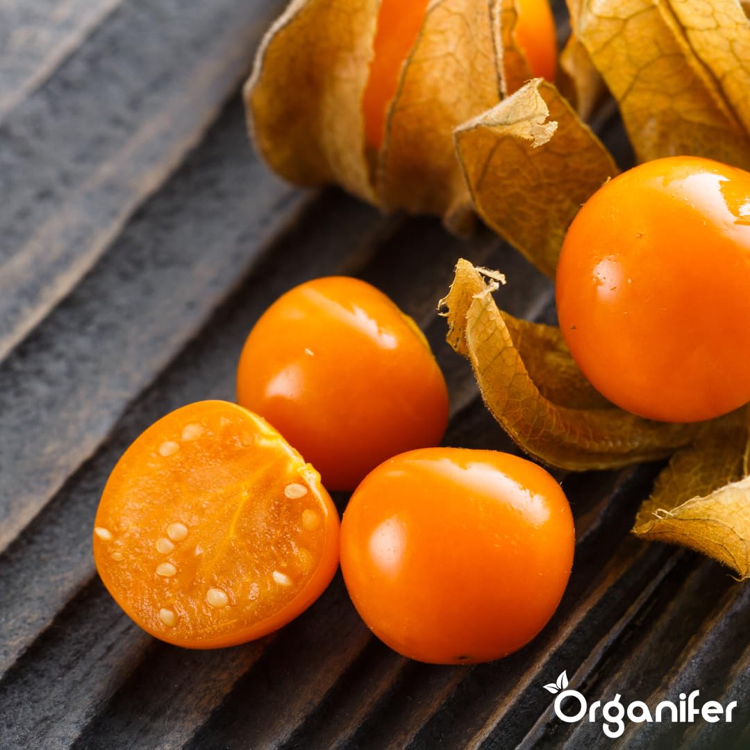 Physalis Nawóz Organiczny Do Roślin Owocowych - 10L - NPK 2-1-8 | Zdrowe Liście - Silne Korzenie I Wysoka Plonność - Organifer