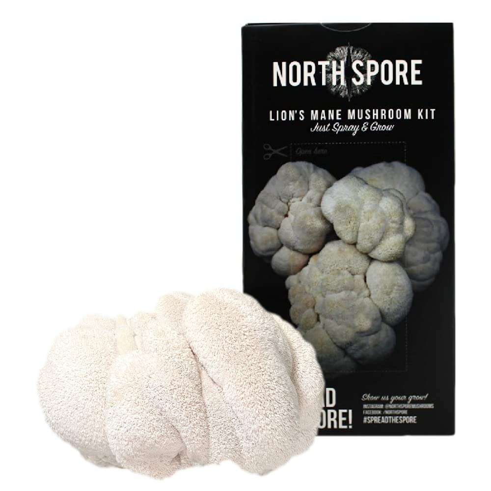 Buy North Spore Lion's Mane Mushroom Spray & Grow Kit (4 lbs