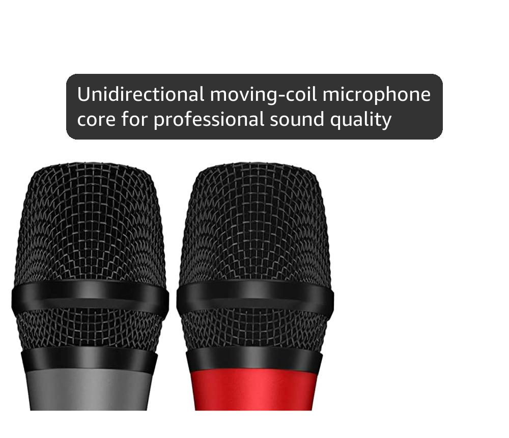 Bietrun Wireless Microphone, Professional UHF Metal Dual Handheld Cordless Dynamic Mic System Set with Rechargeable Receiver, 1/4‘’Output, Plug and Play, Instrument-Wireless-Mics for Karaoke, Wedding