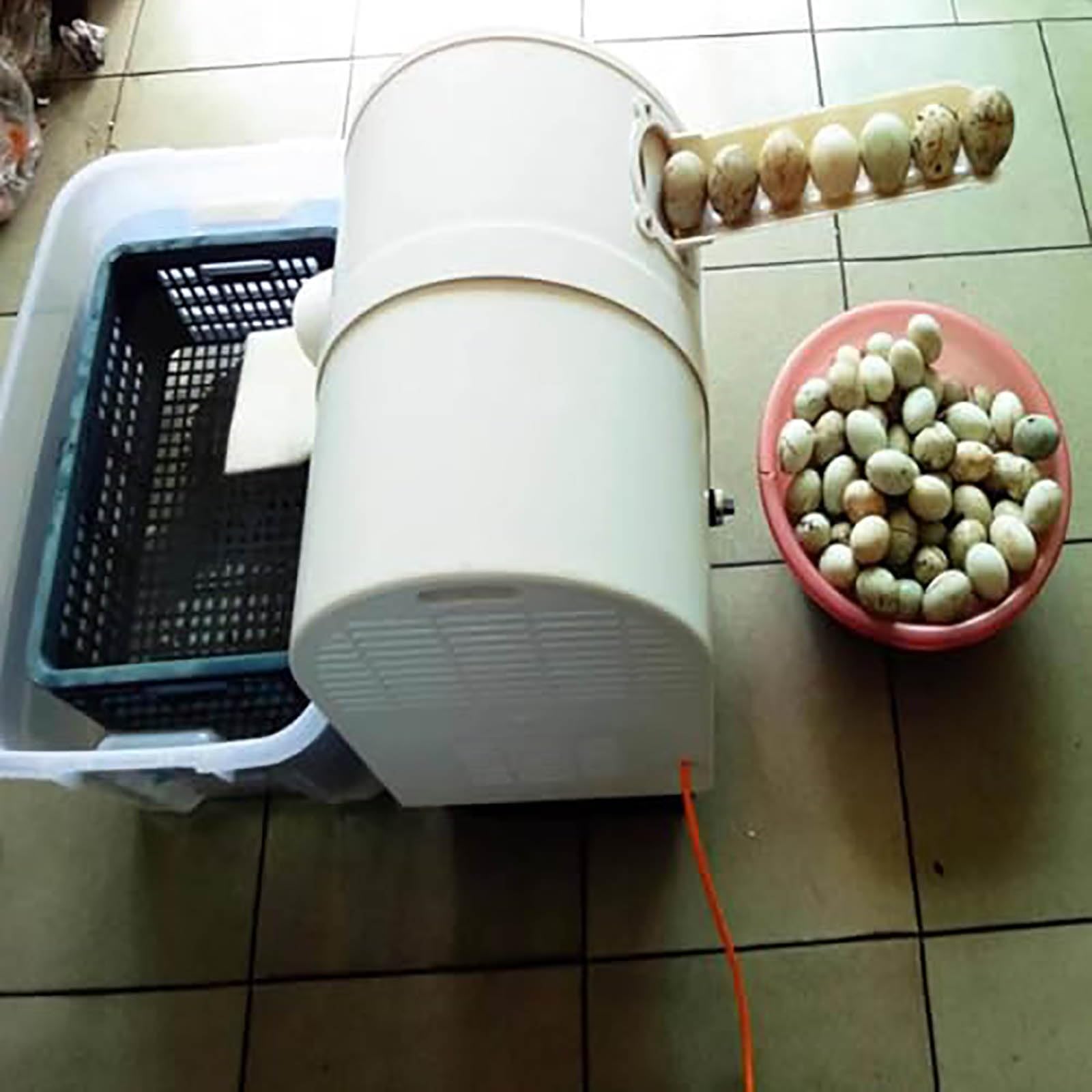 Automatic Egg Washer for Fresh Eggs 2300 Pieces/Hour Small Commercial Brush Egg Cleaner Egg Washing Machine for Chicken, Goose, Duck and Mud Eggs