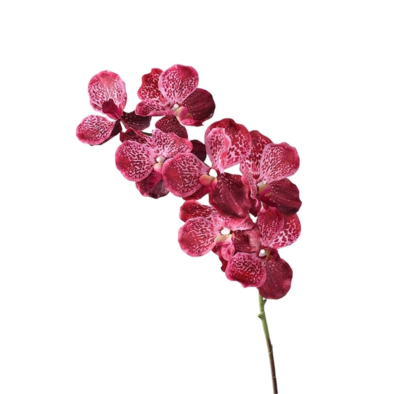 LSYHHXC Artificial Orchid 80 CM Artificial Vanda Orchid Moisturizing Phalaenopsis Branch Large Flower Realistic Real Touch Orchids