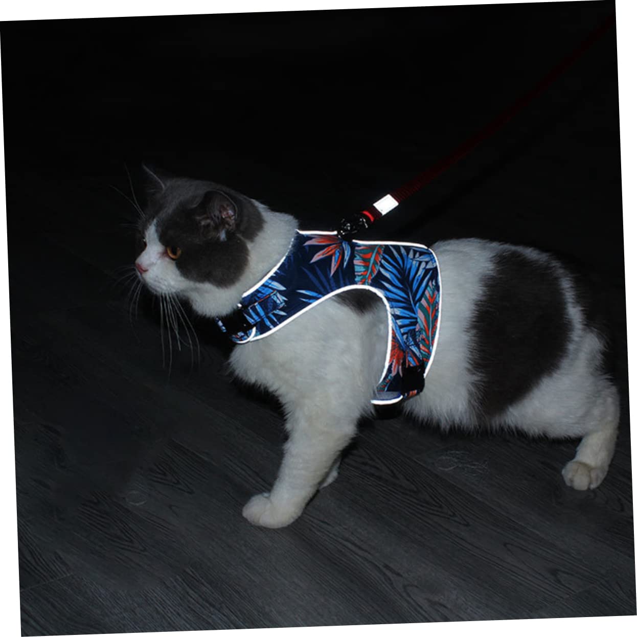 Happyyami 3 Set Guinzaglio Per Gatti Imbracatura Gilet Riflettente Guinzaglio Regolabile Per Cani Gilet Ad Alta Visibilità Collare Per Cani Regolabile Toracica Per