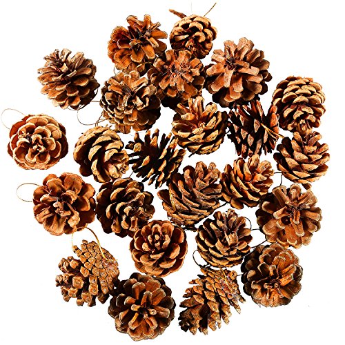 Keriber 24 Pieces 3.5-6cm Christmas Pine Cones With String Natural Pine Cones Pendant Crafts Ornament for Christmas Tree Decoration Gift Tag