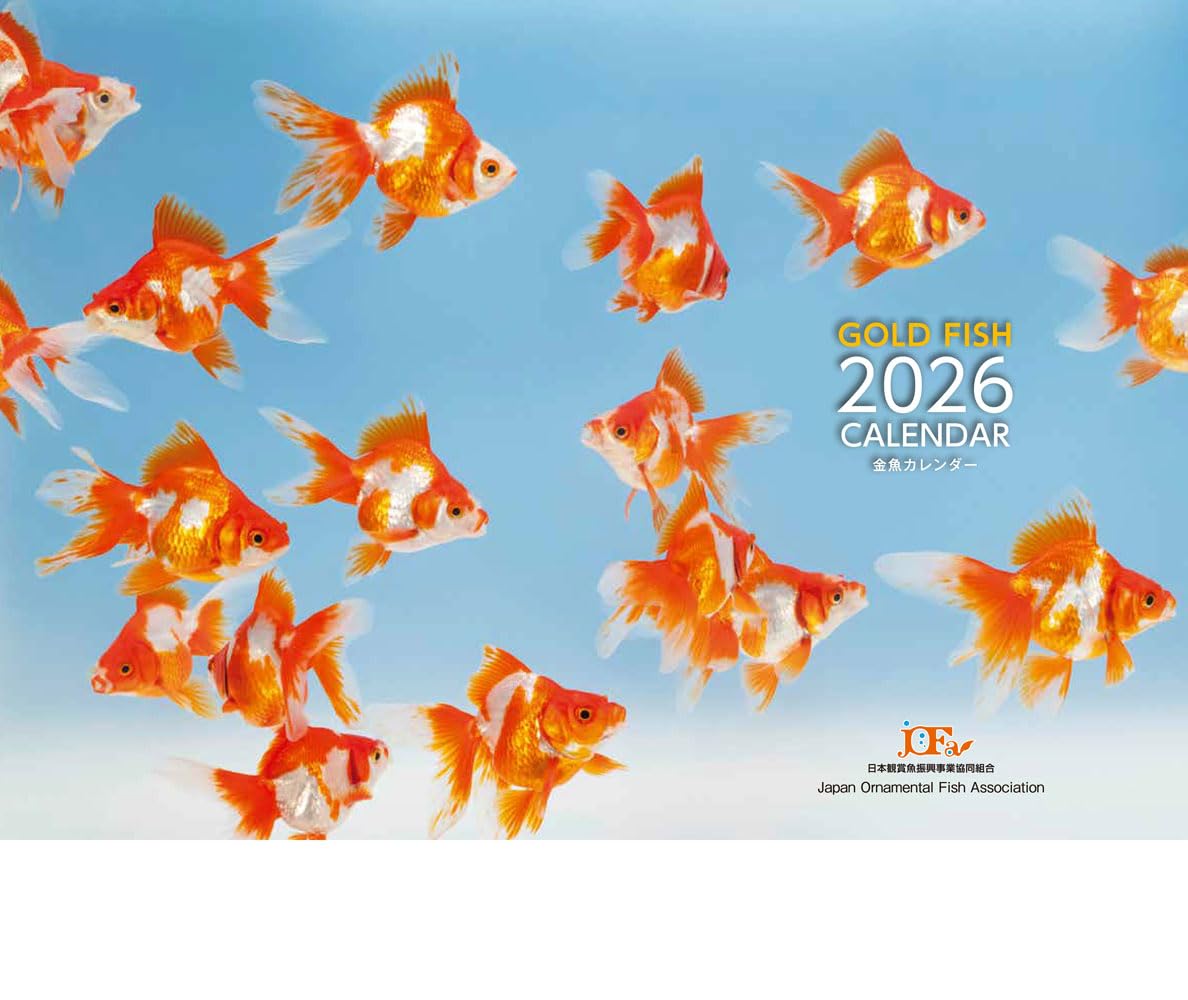 Gold Fish 金魚カレンダー 2026 (月めくり・壁掛け) ([カレンダー
