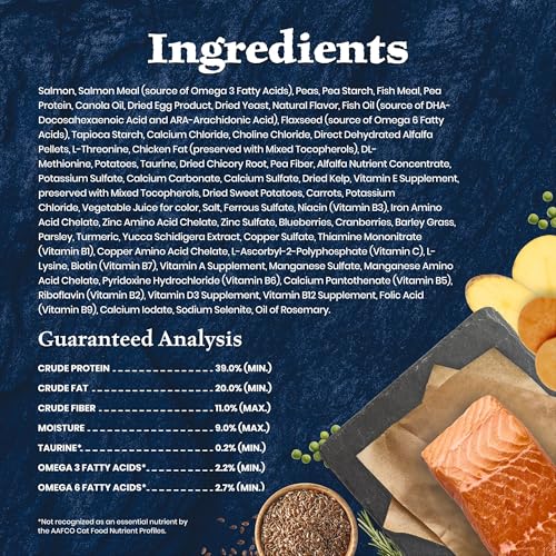 Image of Blue Buffalo Wilderness High-Protein & Grain-Free Dry Food for Kittens, Natural Ingredients with DHA for Cognitive Development, Salmon Recipe, 5lb Bag