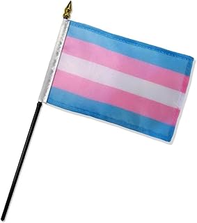 Transgender 4x6in Stick Flag