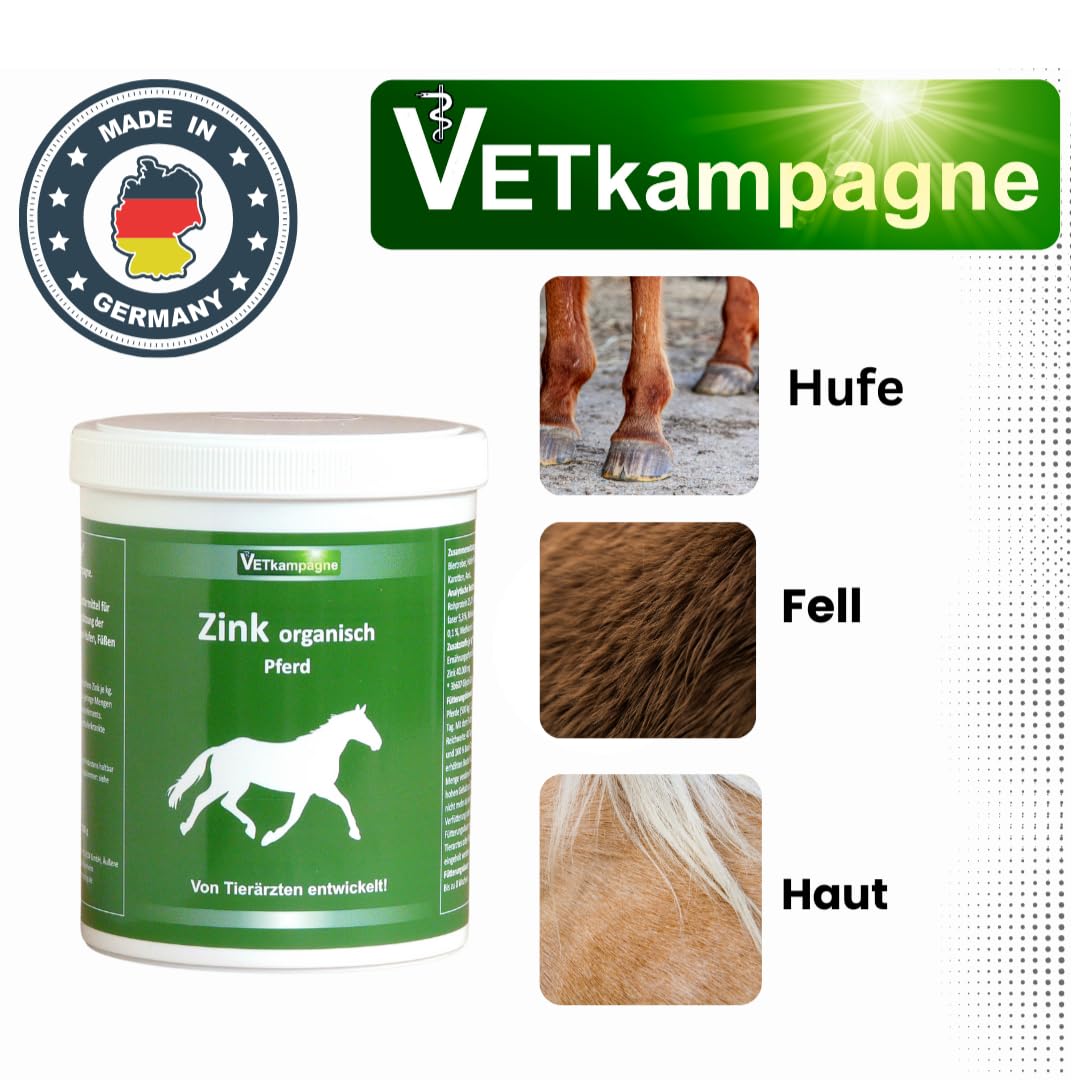 Zink organisch Pulver 500g – Hochdosiert 40.000 mg/kg Zinkglycinat – Unterstützung für Haut, Fell & Hufe – Melassefrei & zuckerfrei – Bewährt seit über 10 Jahren