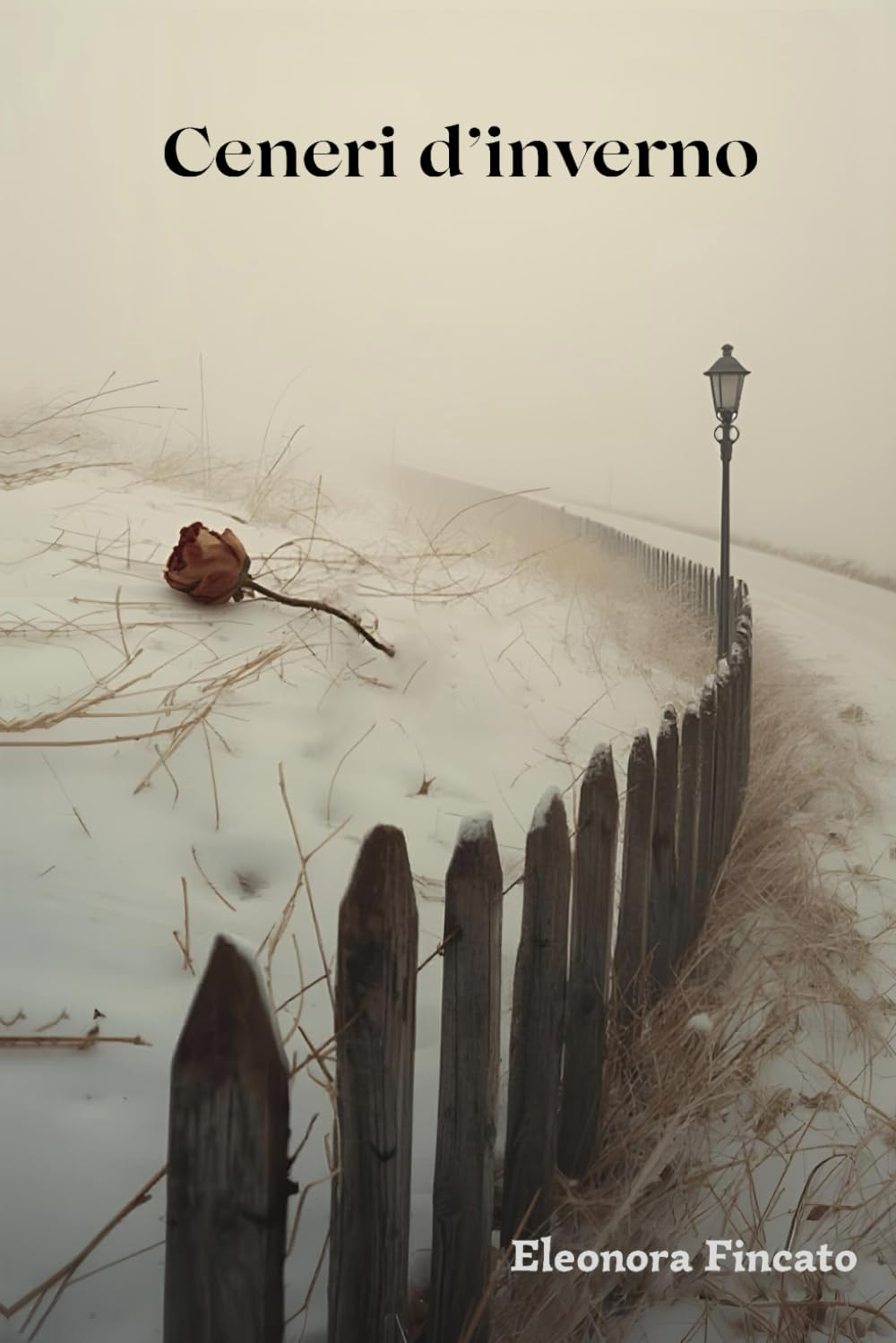 Ceneri d'inverno