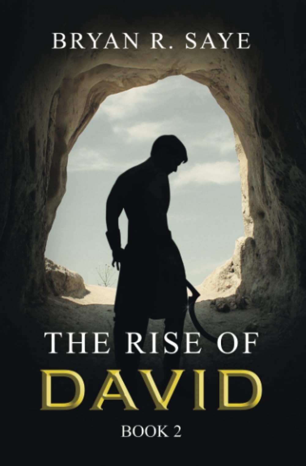 The Rise of David: Book 2 (The Kings of Israel)