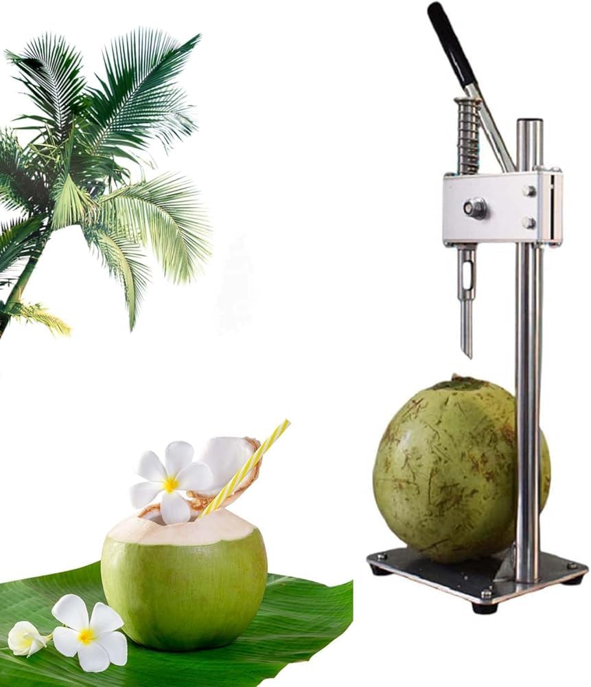 Outils d'ouvreur de noix de coco avec marteau ... - Grandado