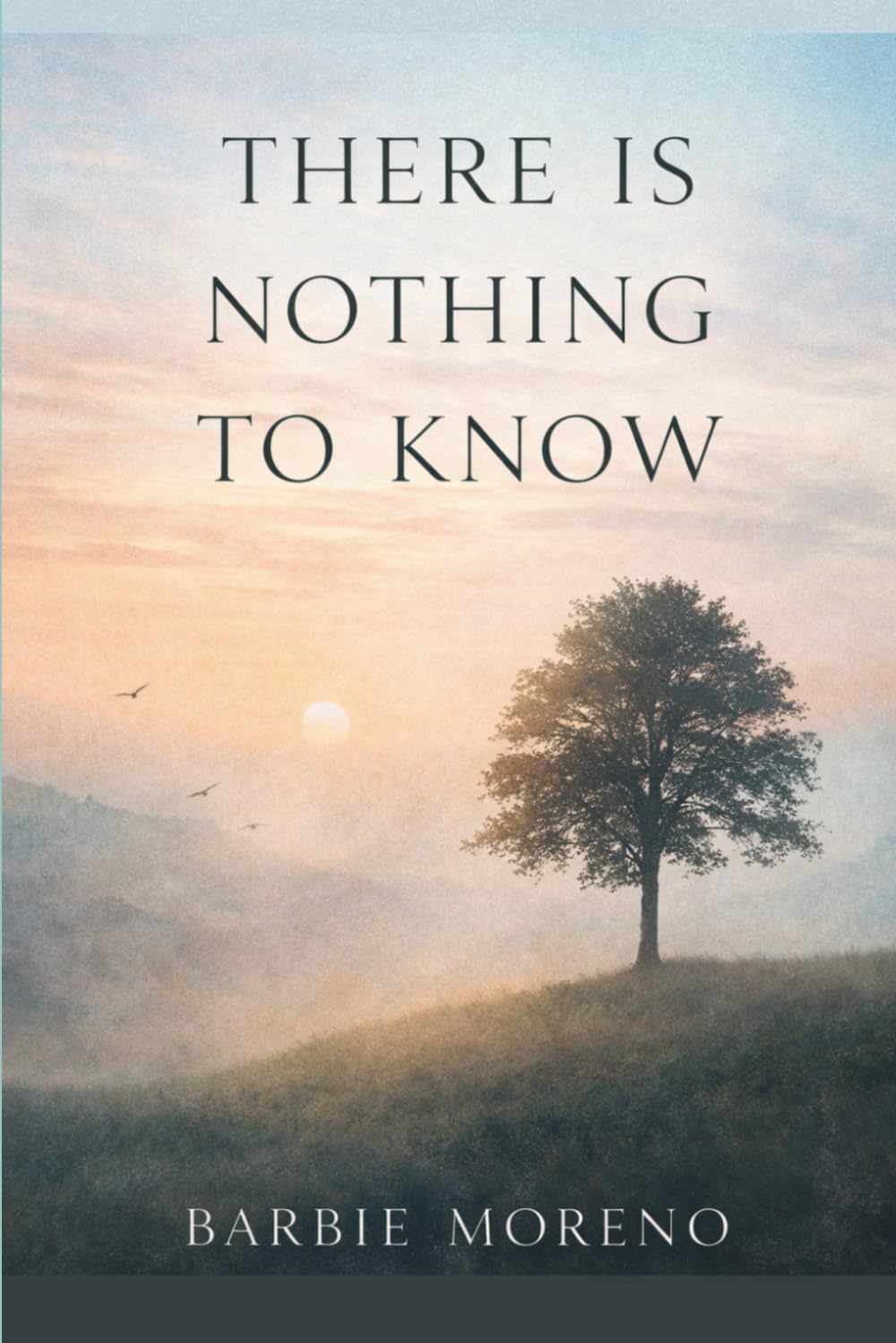 There Is Nothing to Know