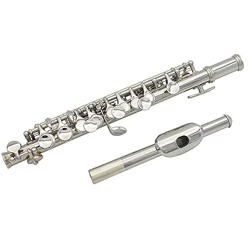 SLADE ピッコロ 本体 ケース付き SLADE ピッコロ 本体 ケース付き SLADE ピッコロ 本体 ケース