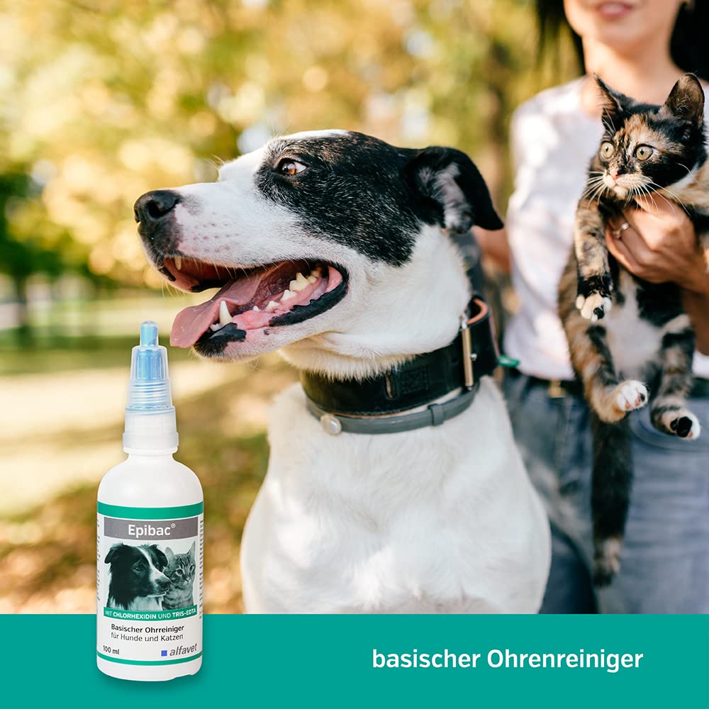 Alfavet Epibac, Doppelpack, basischer, sehr milder Ohrreiniger für Hunde und Katzen mit Chlorhexidin und Tris-EDTA, 2 x 100ml