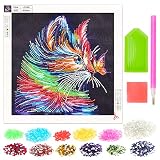Cadeaux pour 9 10 11 12 Ans, Cadeaux pour Filles 11 12 13 14 Ans, Jouet Fille 6-7-8-9-10 Ans, Peinture par Numéros pour Enfant Filles 7-13 Ans, Cadeau d'anniversaire pour Filles 8 9 10 11 Ans