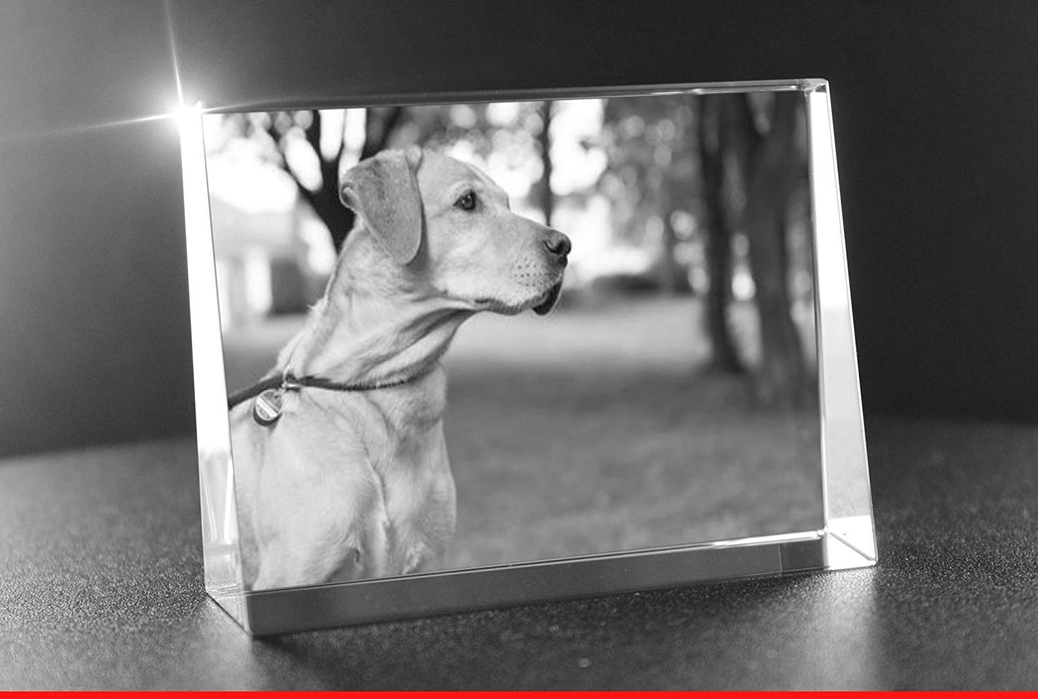 VIP-LASER 2D Gravur Glaswürfel Mit Hundefoto – Personalisierter Kristall 60x60x60 Mm Für Einzigartige Geschenke