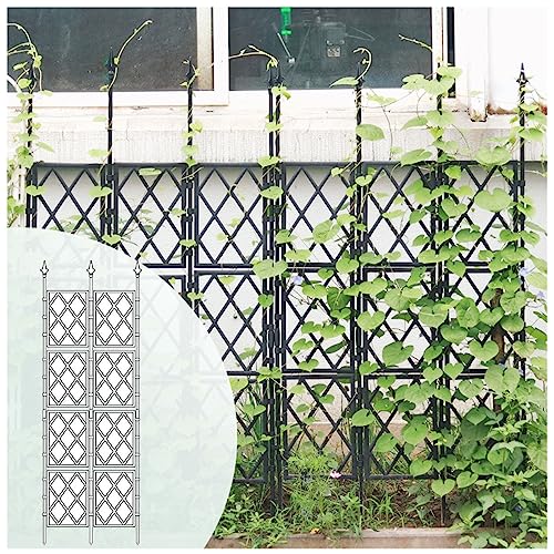 Treillis de jardin antirouille et robuste pour vos plantes