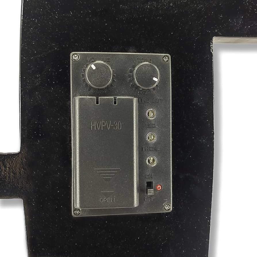 Amazon | YoungMonic 4/4 フルサイズ エレクトリックチェロ