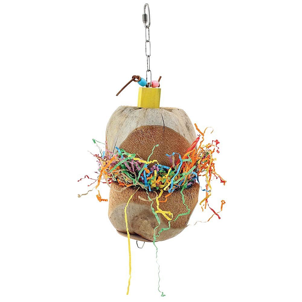 Northern Parrots Coconut Treasure Chest Parrot African Grey Toy