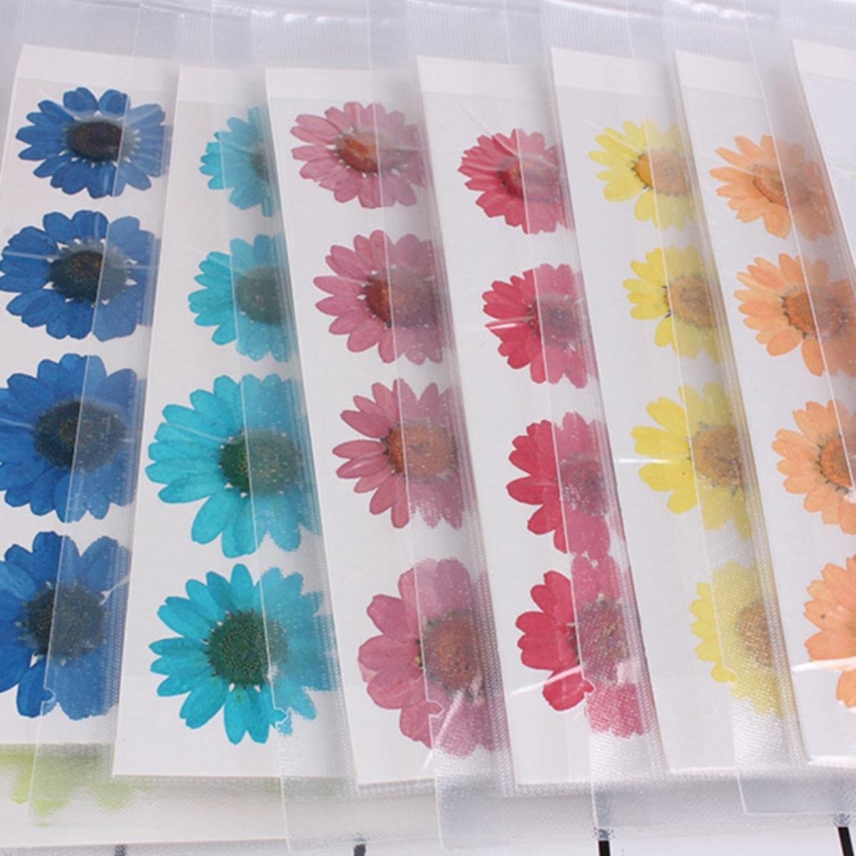 Getrocknete gepresste Blumen, 12 Stück 2–3 cm gepresste, gepresste, getrocknete Gänseblümchen-Trockenblumen for Harz-Anhänger, Halskette, Schmuckherstellung, Basteln, DIY-Zubehör, Rot(White)